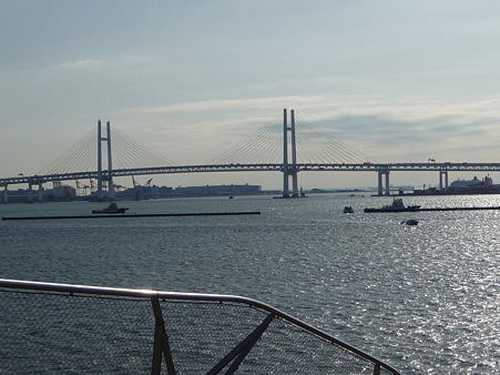 100322-大桟橋 客船2隻 (13)