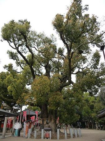 100331-住吉さん (23)