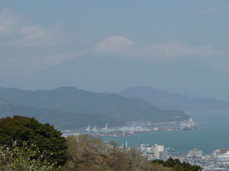 100403-日本平山頂 (17)