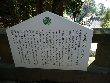 100403-久能山東照宮 (23)