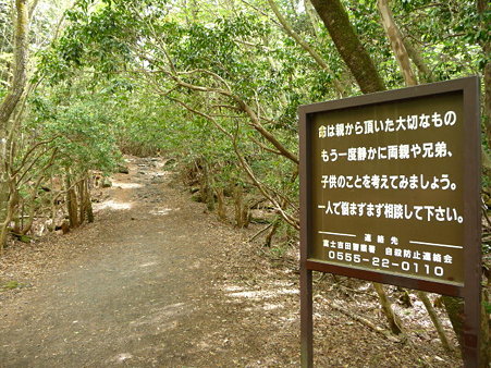100518-青木ヶ原樹海-28