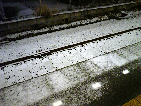 110211-雪 (1)