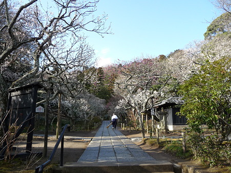 110225-東慶寺 (7)