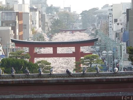 110411-八幡さま (11)
