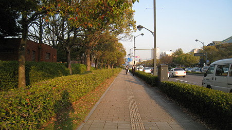 midori