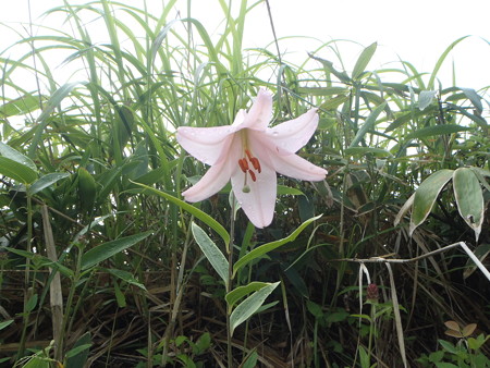 P6290068