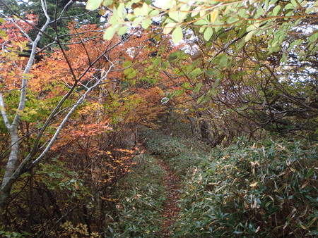14102008