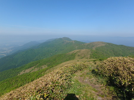 P5210023