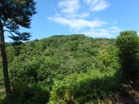 P7030065