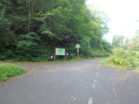 P9110152