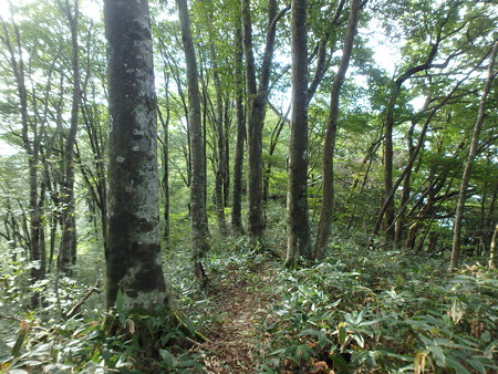 P9240044