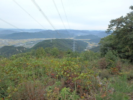 PA220035