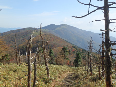 PA300067