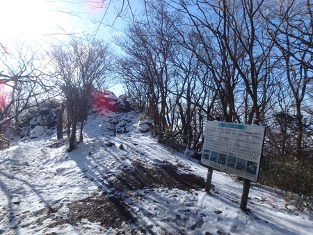 16122526