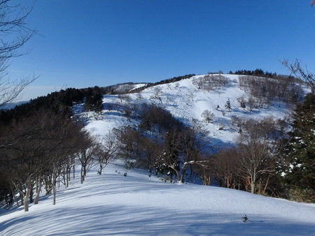 P2040039