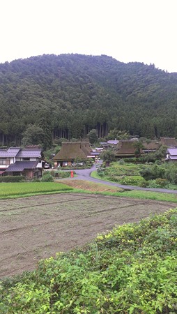かやぶきの里の集落