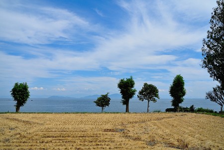DSC_3463