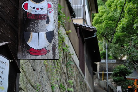 猫の細道