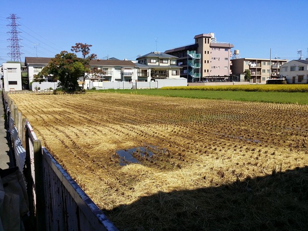 20141018_111741_１丁目