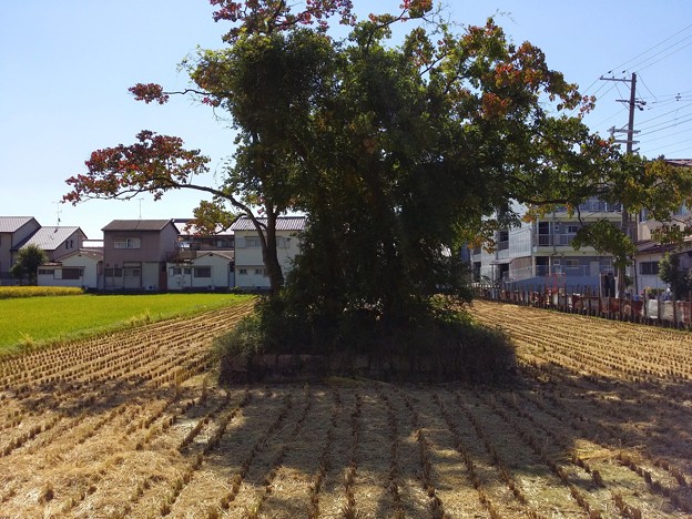 20141018_112117_１丁目