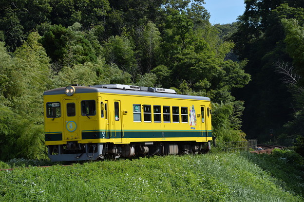 いすみ鉄道 普通列車9D (いすみ352)