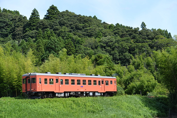 いすみ鉄道 臨時列車81D (キハ52 125)