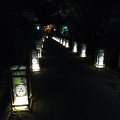 Photos: 江の島の夜０３-20161009