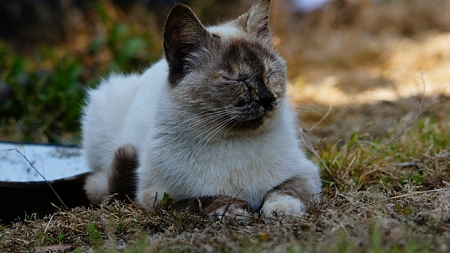 DSC08241 (1280x719)