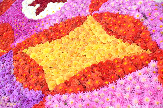T-花絵1