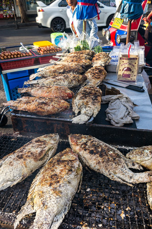美味そうな魚だ。