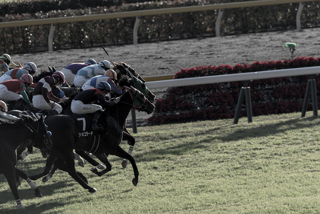 Photos: DSC_4227