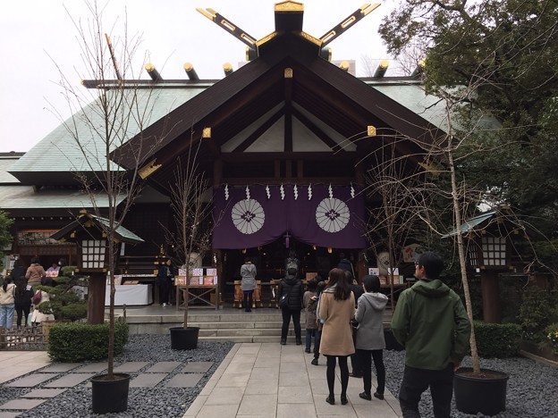 3月_東京大神宮 1