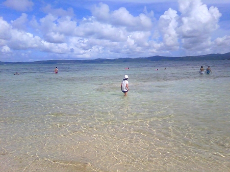 lifeximg_20100720053554