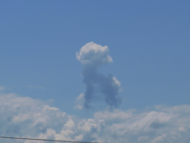 プードルみたいな雲を見た