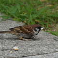 DSC07948