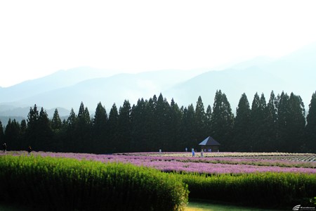 Blog_20140706_001