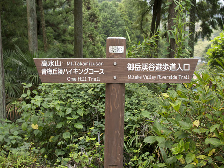 案内板