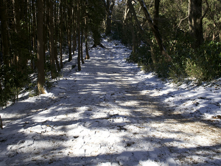 稲荷山コース