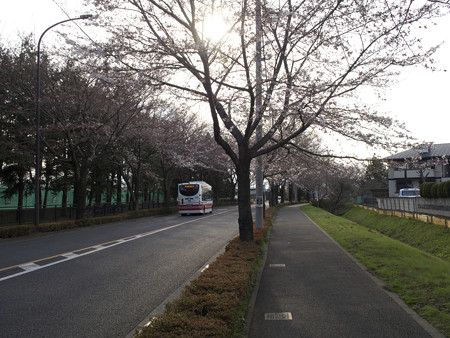 大沢グラウンド通り