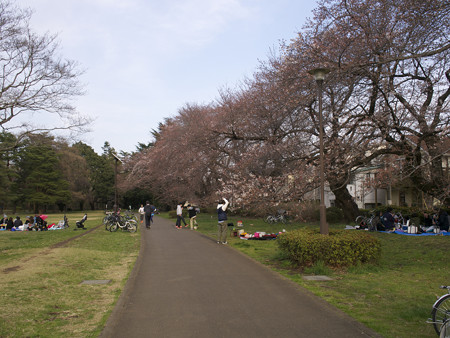 野川公園(1)