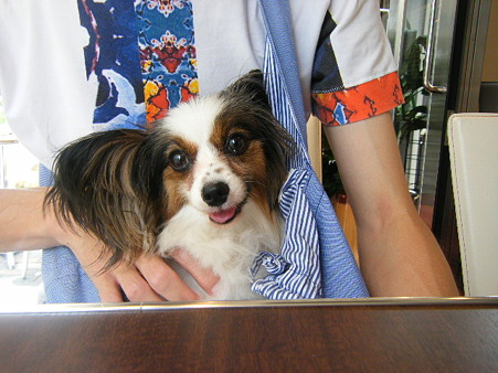 jun20 (2)