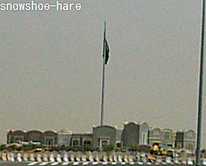 サウジで一番大きな国旗らしい