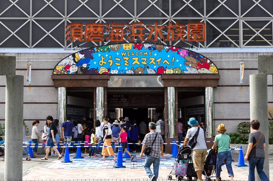 写真: IMG_6132