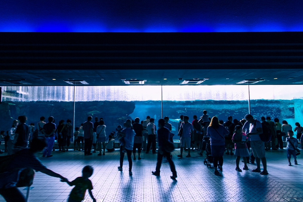 写真: IMG_6135