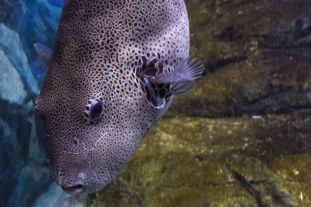 写真: IMG_6176