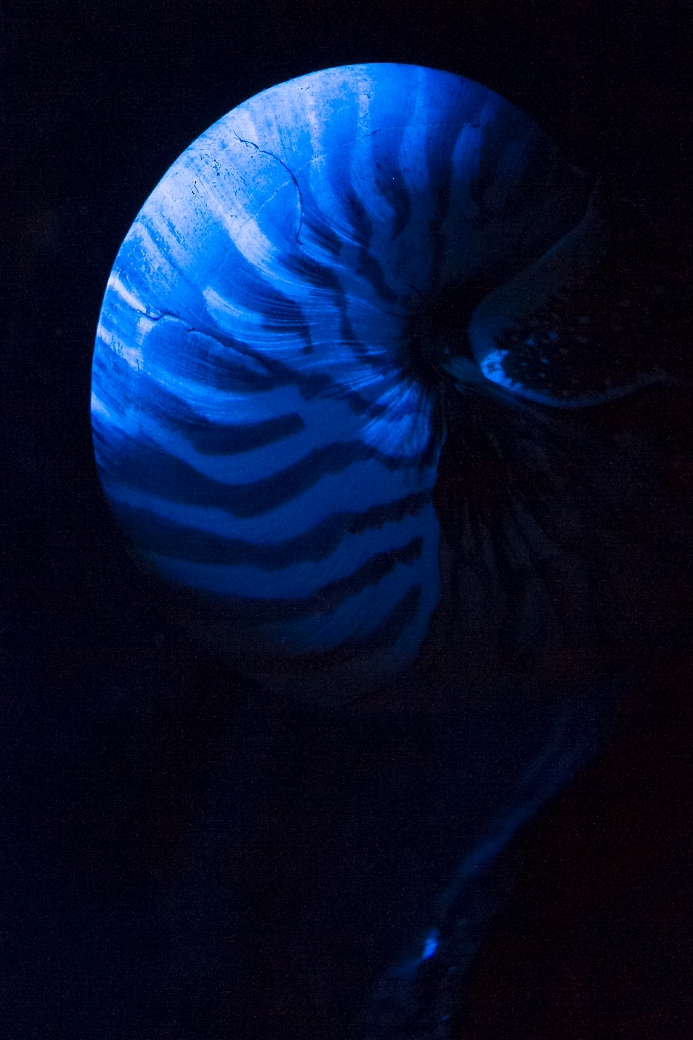 写真: IMG_6198