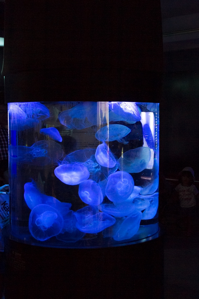 写真: IMG_6213