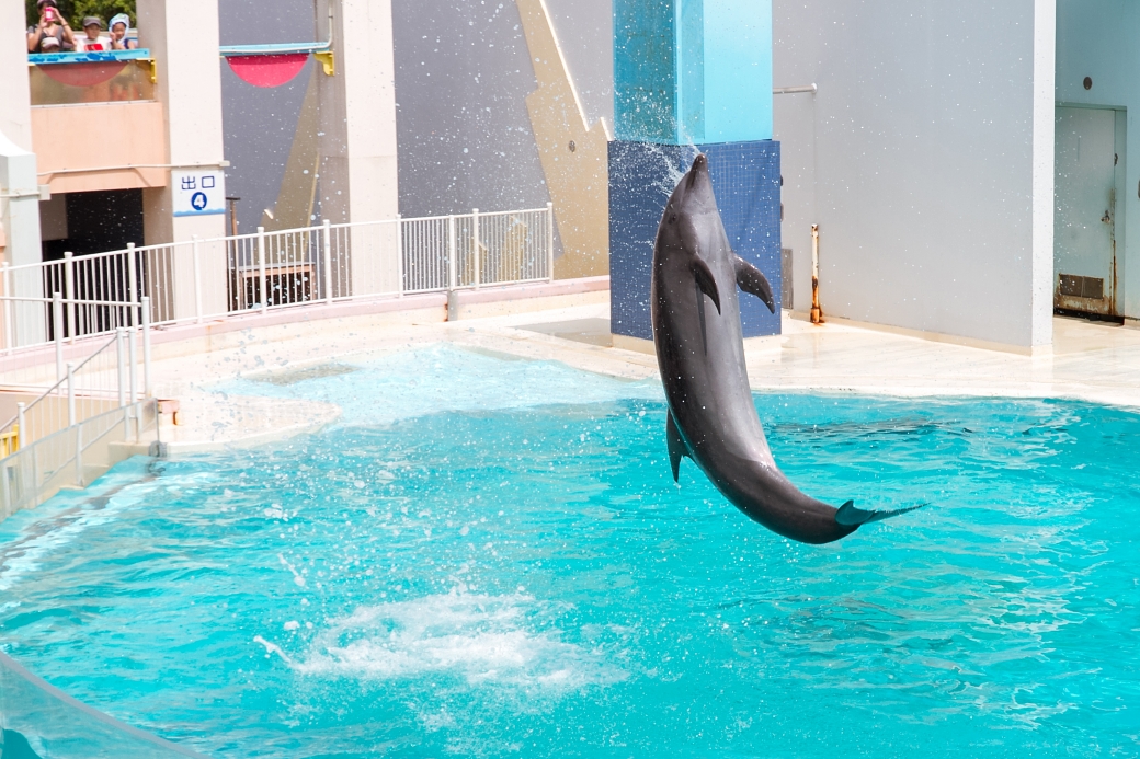 写真: IMG_6343