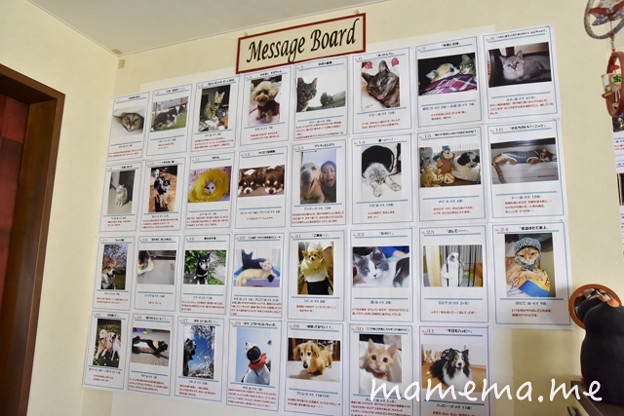Photos: _DSC8586