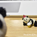 Photos: _DSC3291